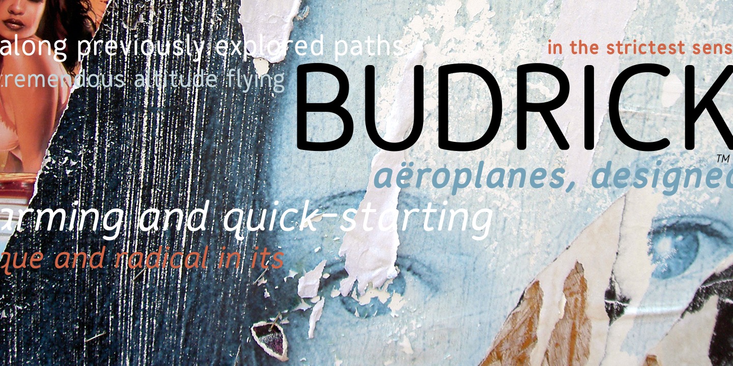 Budrick BB Regular Font preview